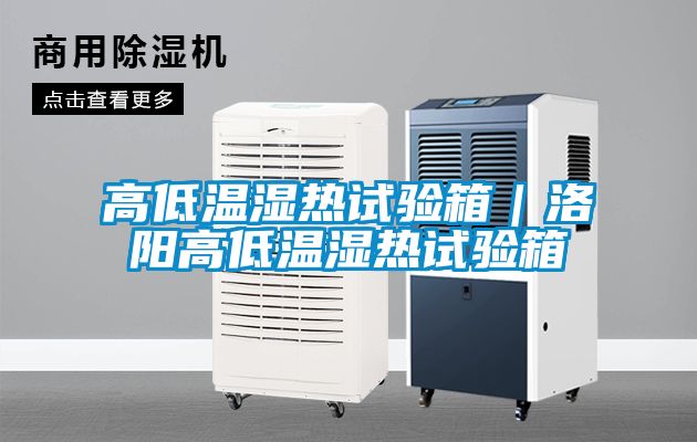 高低溫濕熱試驗(yàn)箱｜洛陽(yáng)高低溫濕熱試驗(yàn)箱