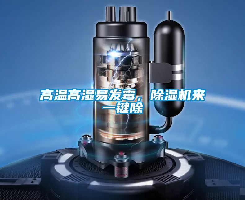 高溫高濕易發(fā)霉，除濕機來一鍵除