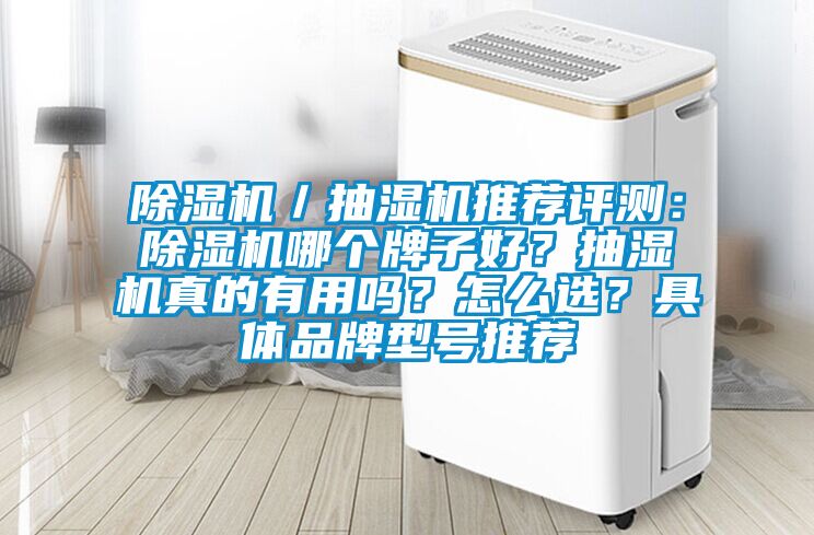 除濕機(jī)／抽濕機(jī)推薦評(píng)測(cè)：除濕機(jī)哪個(gè)牌子好？抽濕機(jī)真的有用嗎？怎么選？具體品牌型號(hào)推薦