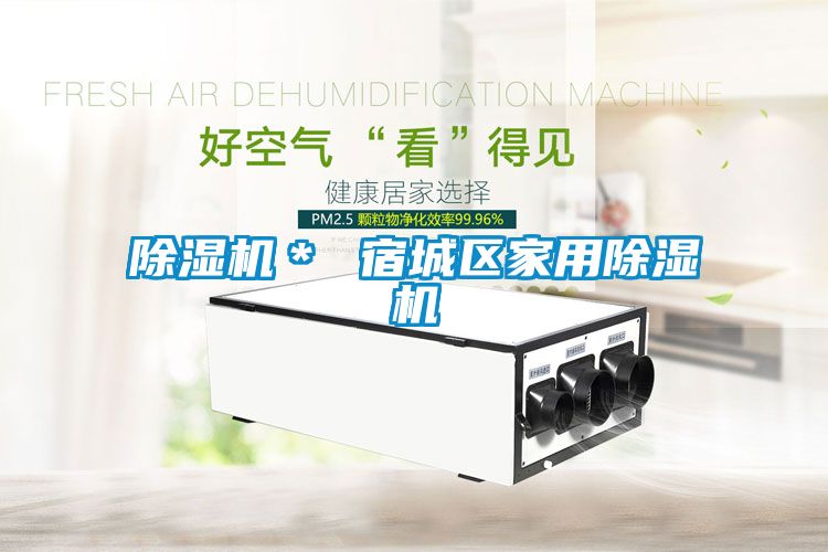 除濕機＊ 宿城區家用除濕機