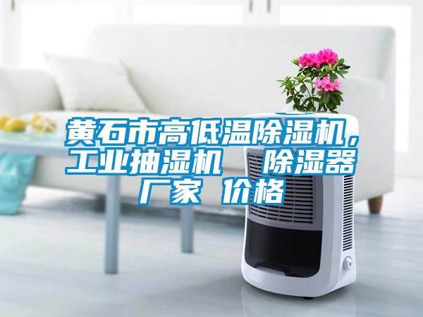 黃石市高低溫除濕機，工業抽濕機  除濕器廠家 價格