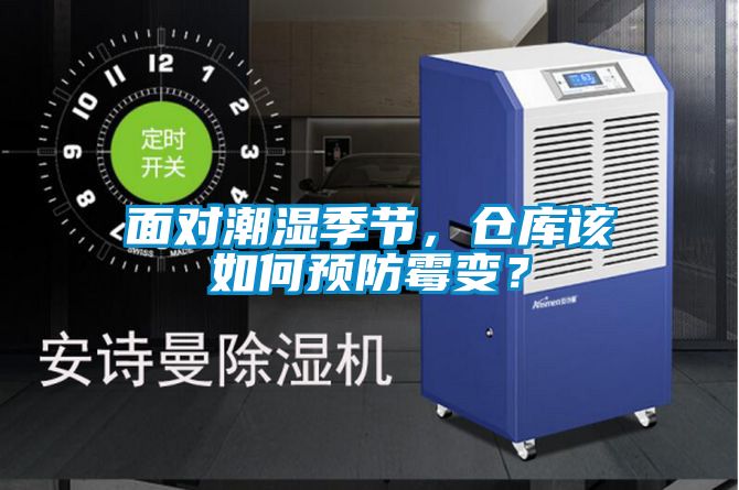面對潮濕季節，倉庫該如何預防霉變？