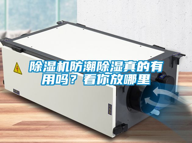 除濕機防潮除濕真的有用嗎？看你放哪里