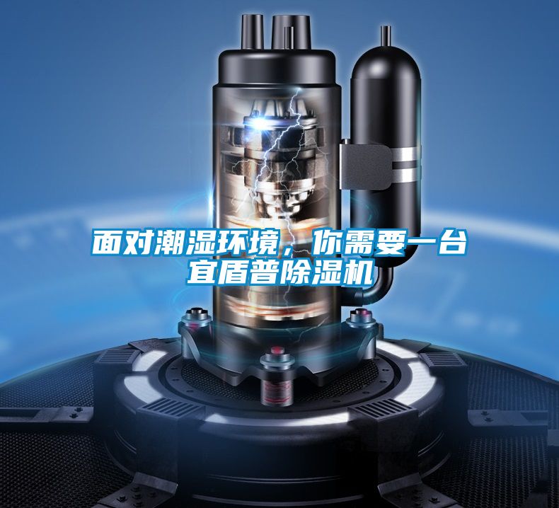 面對潮濕環(huán)境，你需要一臺宜盾普除濕機(jī)