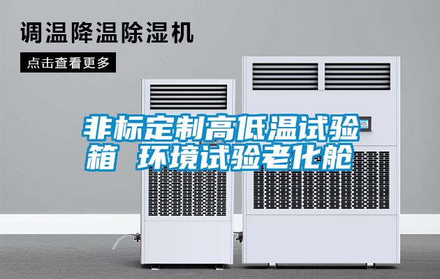 非標定制高低溫試驗箱 環境試驗老化艙