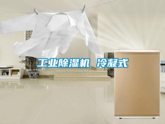 常見問題工業(yè)除濕機 冷凝式