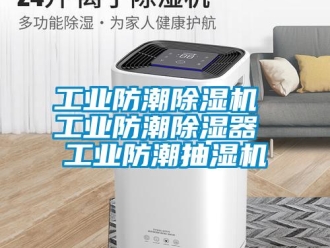 常見問題工業防潮除濕機 工業防潮除濕器 工業防潮抽濕機