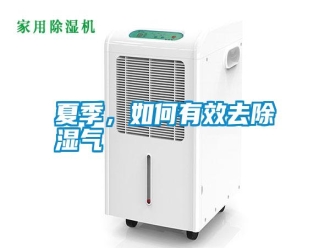 常見問題夏季，如何有效去除濕氣