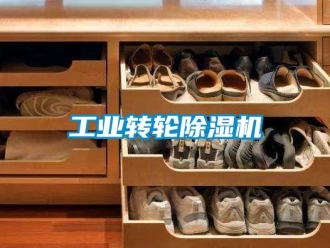 常見問題工業轉輪除濕機