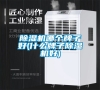 除濕機(jī)哪個(gè)牌子好(什么牌子除濕機(jī)好) 除濕機(jī)哪個(gè)牌子好(什么牌子除濕機(jī)好)