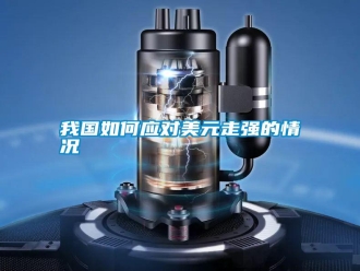 知識(shí)百科我國(guó)如何應(yīng)對(duì)美元走強(qiáng)的情況