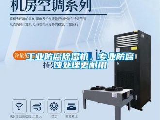 常見問題工業(yè)防腐除濕機，專業(yè)防腐蝕處理更耐用