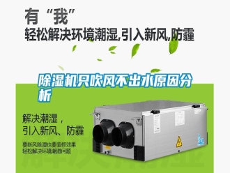 常見問題除濕機只吹風不出水原因分析