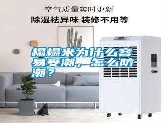 常見問題榻榻米為什么容易受潮，怎么防潮？