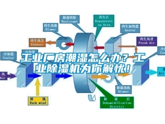 常見問題工業廠房潮濕怎么辦？工業除濕機為你解憂！