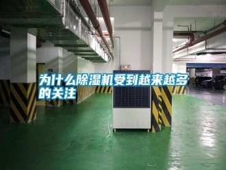常見問題為什么除濕機受到越來越多的關注
