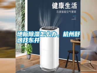 常見問題地板除濕怎么辦，杭州舒逸找東井