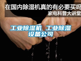 常見問題工業(yè)除濕機 工業(yè)除濕設(shè)備公司