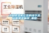 工業除濕機讓您的地下室遠離潮濕困擾_重復