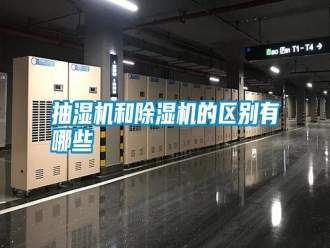 知識百科抽濕機和除濕機的區別有哪些