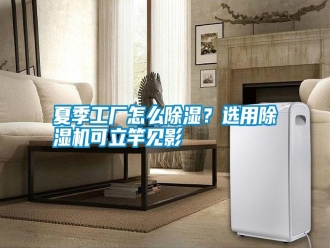 常見問題夏季工廠怎么除濕？選用除濕機可立竿見影
