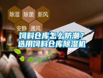 知識百科飼料倉庫怎么防潮？選用飼料倉庫除濕機