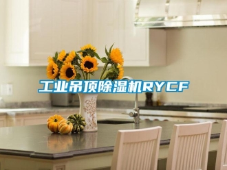 常見問題工業(yè)吊頂除濕機(jī)RYCF