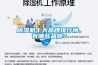 除濕機十大品牌排行榜，有哪些品牌？