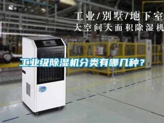 常見問題工業級除濕機分類有哪幾種？