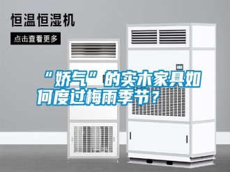 常見問題“嬌氣”的實(shí)木家具如何度過梅雨季節(jié)？