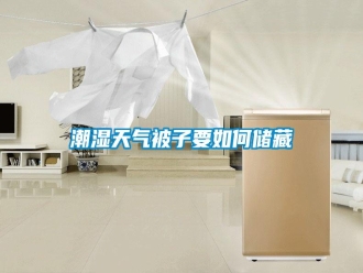 知識(shí)百科潮濕天氣被子要如何儲(chǔ)藏
