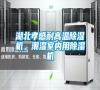 湖北孝感耐高溫除濕機，潮濕室內用除濕機