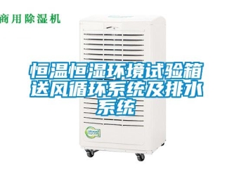 知識(shí)百科恒溫恒濕環(huán)境試驗(yàn)箱送風(fēng)循環(huán)系統(tǒng)及排水系統(tǒng)