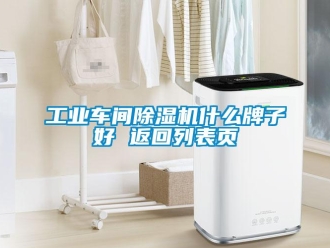 常見問題工業車間除濕機什么牌子好 返回列表頁