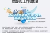 工業(yè)除濕機(jī)哪個牌子好，造紙廠除濕案例