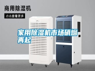 知識百科家用除濕機市場硝煙再起