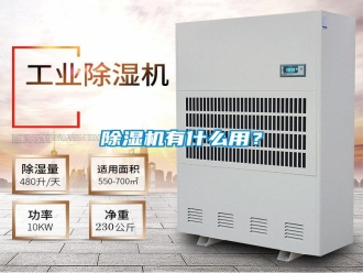 常見問題除濕機有什么用？