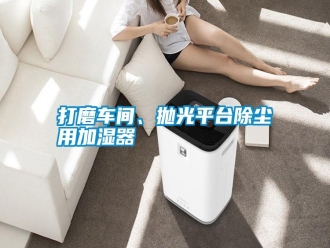 知識百科打磨車間、拋光平臺除塵用加濕器