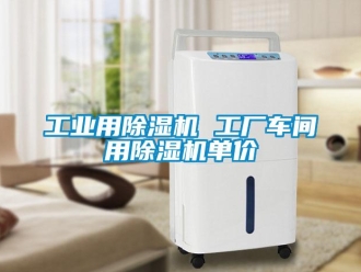 常見問題工業用除濕機 工廠車間用除濕機單價