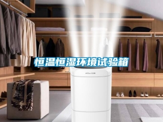 知識百科恒溫恒濕環(huán)境試驗箱