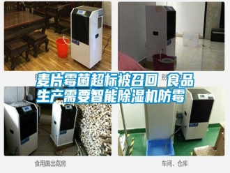 常見問題麥片霉菌超標被召回 食品生產需要智能除濕機防霉