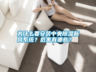 知識百科為什么要安裝中央除濕新風系統？危害有哪些？