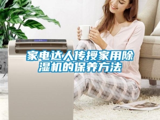 常見問題家電達人傳授家用除濕機的保養方法