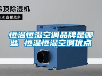 知識百科恒溫恒濕空調品牌是哪些 恒溫恒濕空調優點