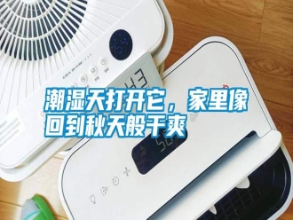知識百科潮濕天打開它，家里像回到秋天般干爽