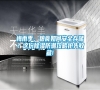 梅雨季，糧食如何安全存儲？這份除濕防潮攻略搶先收藏!