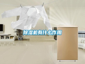 常見問題除濕機有什么作用