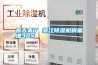 春天來(lái)了 浙江除濕機(jī)銷量增30%