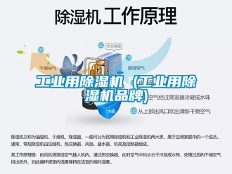 常見問題工業用除濕機 (工業用除濕機品牌)