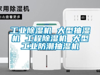 常見問題工業(yè)除濕機 大型抽濕機 工程除濕機 大型工業(yè)防潮抽濕機
